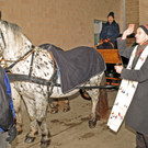 Wagenweihe 05-01-2013 94_jpg-1357401686