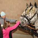 Wagenweihe 05-01-2013 107_jpg-1357401730