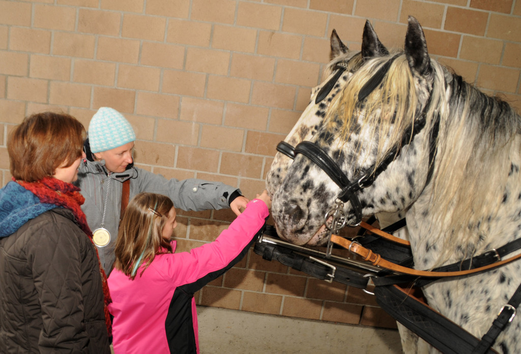 Wagenweihe 05-01-2013 107_jpg-1357401730