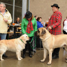 Wagenweihe 05-01-2013 115_jpg-1357401758