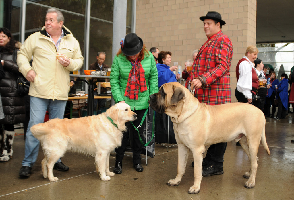 Wagenweihe 05-01-2013 115_jpg-1357401758