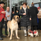 Wagenweihe 05-01-2013 134_jpg-1357401789