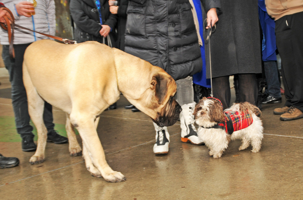 Wagenweihe 05-01-2013 137_jpg-1357401798