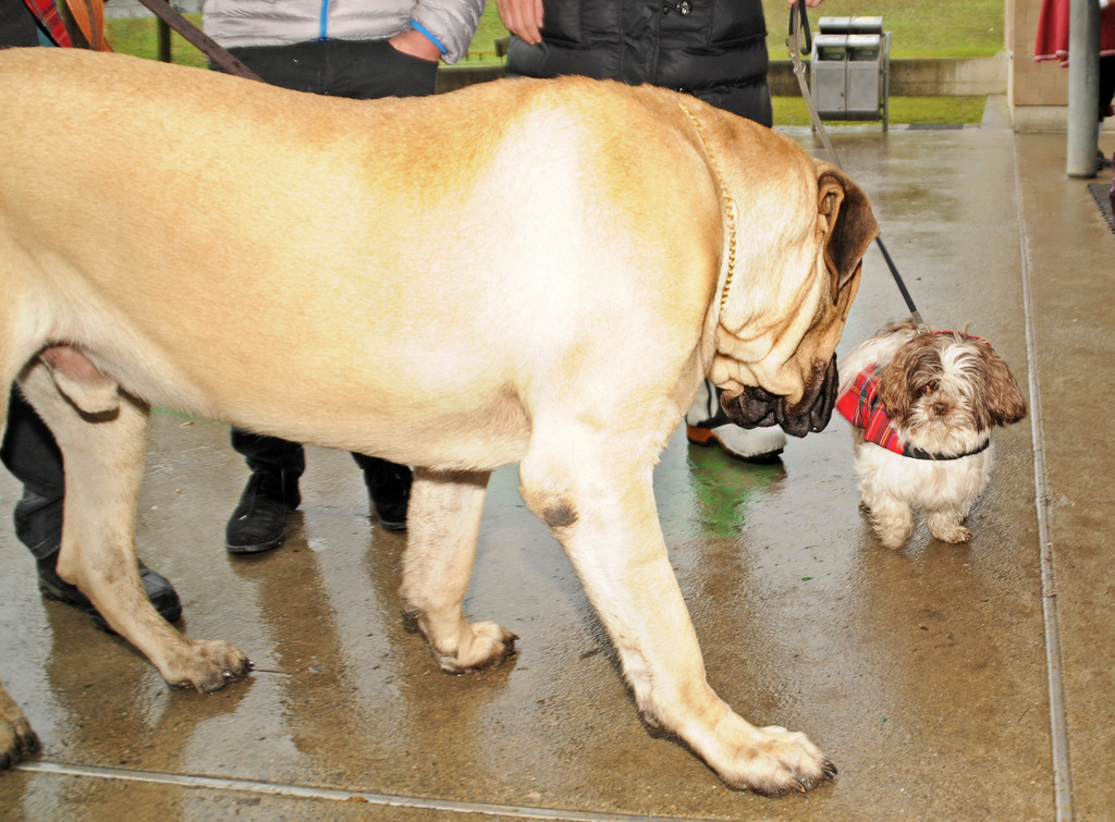 Wagenweihe 05-01-2013 146_jpg-1357401806