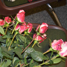 Hochzeiten Kennelbach_ Ems und H__chst 079_JPG-1357415404
