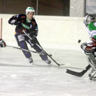 IMG_8505_jpg-1357419170