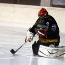 IMG_8556_jpg-1357419224