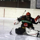 IMG_8603_jpg-1357419331