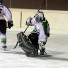 IMG_8683_jpg-1357419455