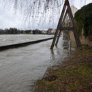 DSC_0010-K1000.jpg
