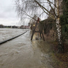 dst-229565.JPG