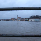 dst-229572.JPG