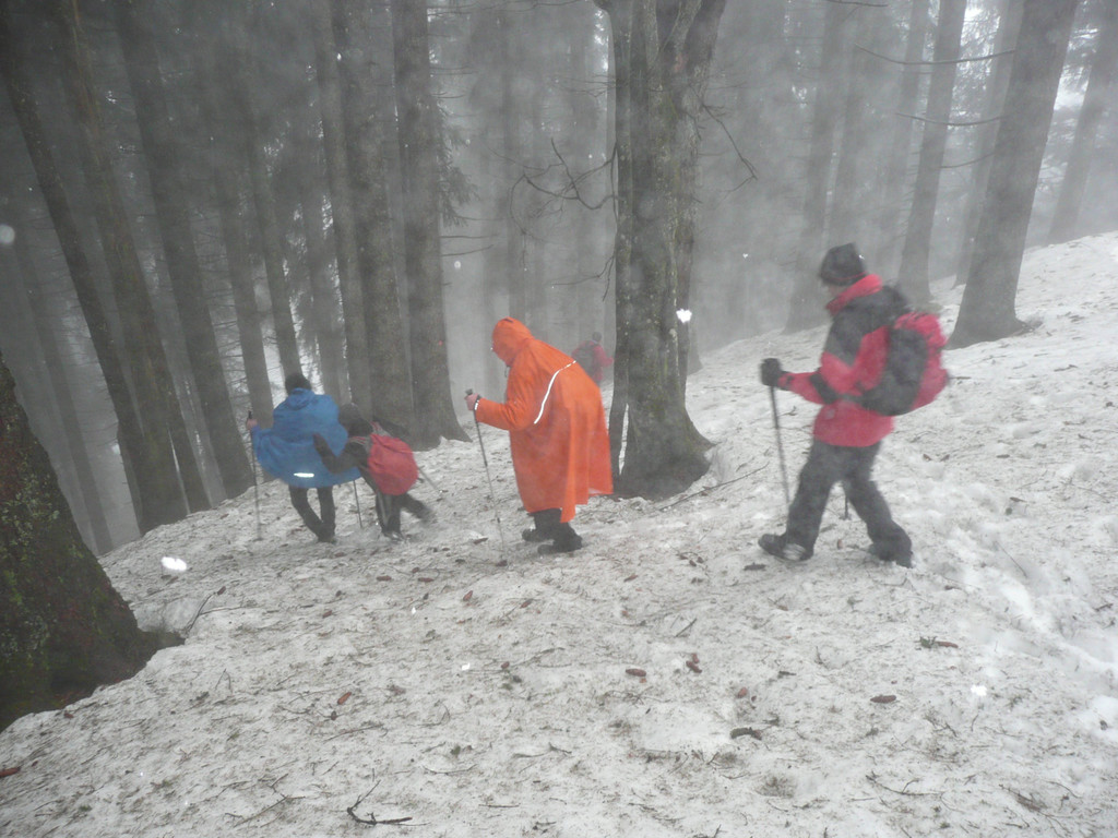 P1100335.JPG