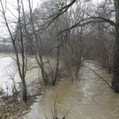 05012013hochwasserpettingde05001aktivnews_025.jpg