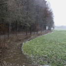05012013hochwasserpettingde05001aktivnews_023.jpg