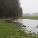 05012013hochwasserpettingde05001aktivnews_020.jpg