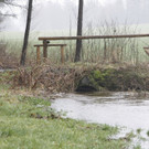 05012013hochwasserpettingde05001aktivnews_021.jpg