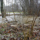 05012013hochwasserpettingde05001aktivnews_034.jpg
