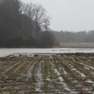 05012013hochwasserpettingde05001aktivnews_011.jpg