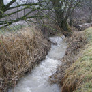 05012013hochwasserpettingde05001aktivnews_003.jpg