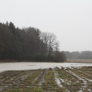 05012013hochwasserpettingde05001aktivnews_005.jpg