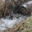05012013hochwasserpettingde05001aktivnews_012.jpg