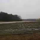 05012013hochwasserpettingde05001aktivnews_010.jpg