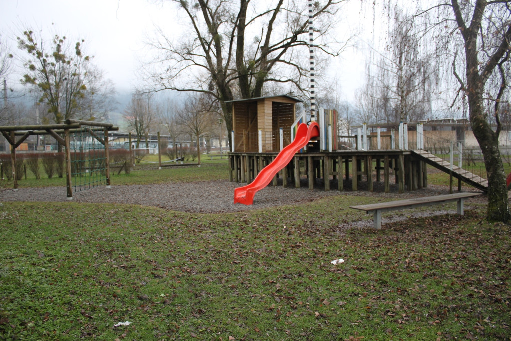 Dreik__nigslauf 2013 NACH _24__jpg-1357492568