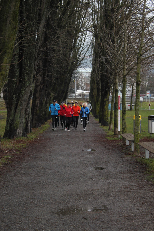 Dreik__nigslauf 2013 NACH _13__jpg-1357492503