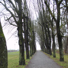 Dreik__nigslauf 2013 NACH _23__jpg-1357492561