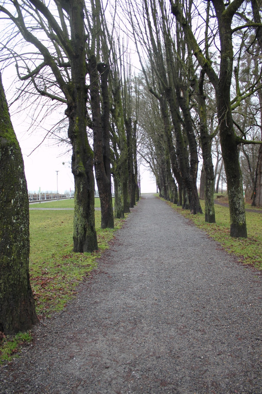 Dreik__nigslauf 2013 NACH _23__jpg-1357492561