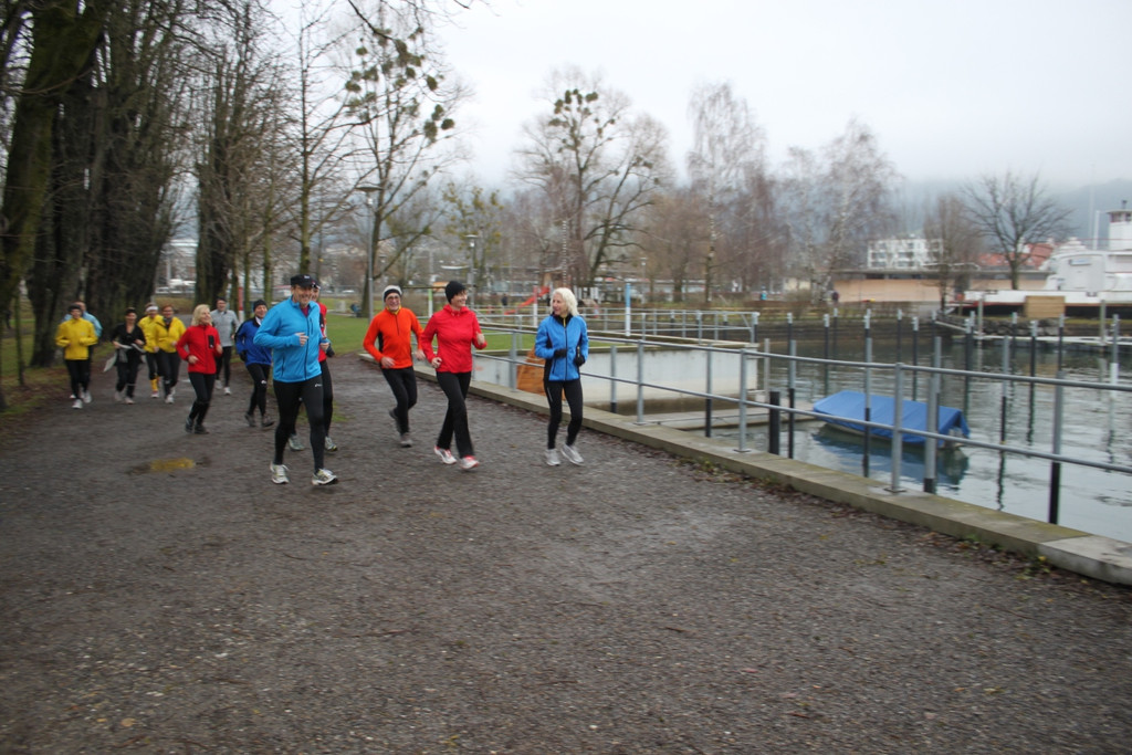 Dreik__nigslauf 2013 NACH _14__jpg-1357492508