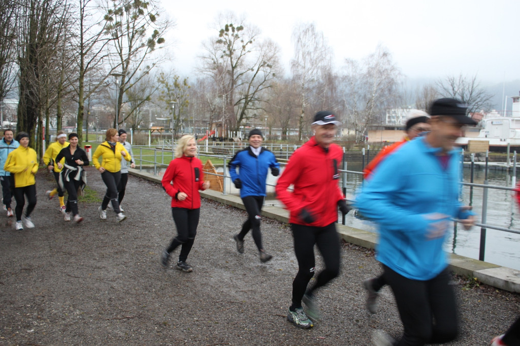 Dreik__nigslauf 2013 NACH _16__jpg-1357492520