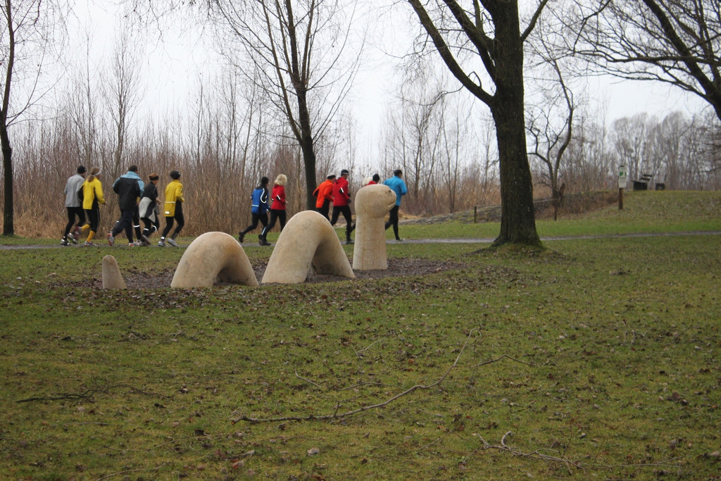 Dreik__nigslauf 2013 NACH _18__jpg-1357492532