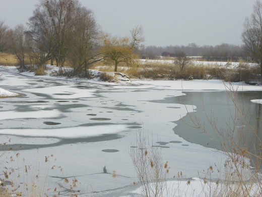 100_2271.jpg