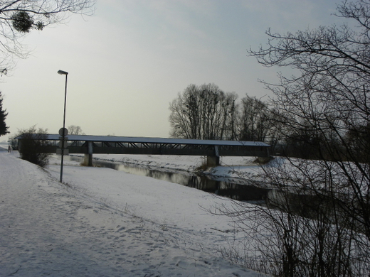 100_2310.jpg