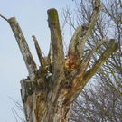 100_2316.jpg