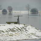 100_2337.jpg