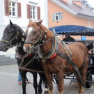 Kutsche4.JPG