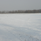 100_2313.jpg