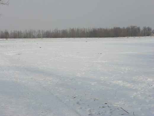 100_2313.jpg