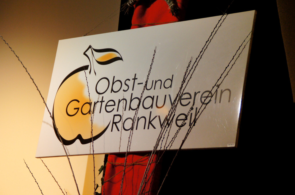 DSC01486_JPG-1357503090