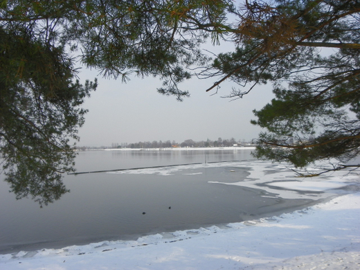 100_2327.jpg