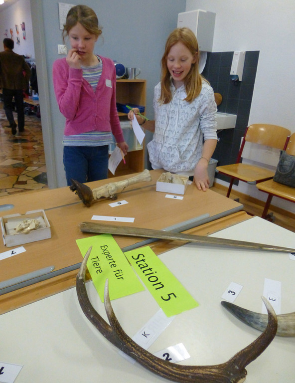 SMS6a_jpg-1357504103