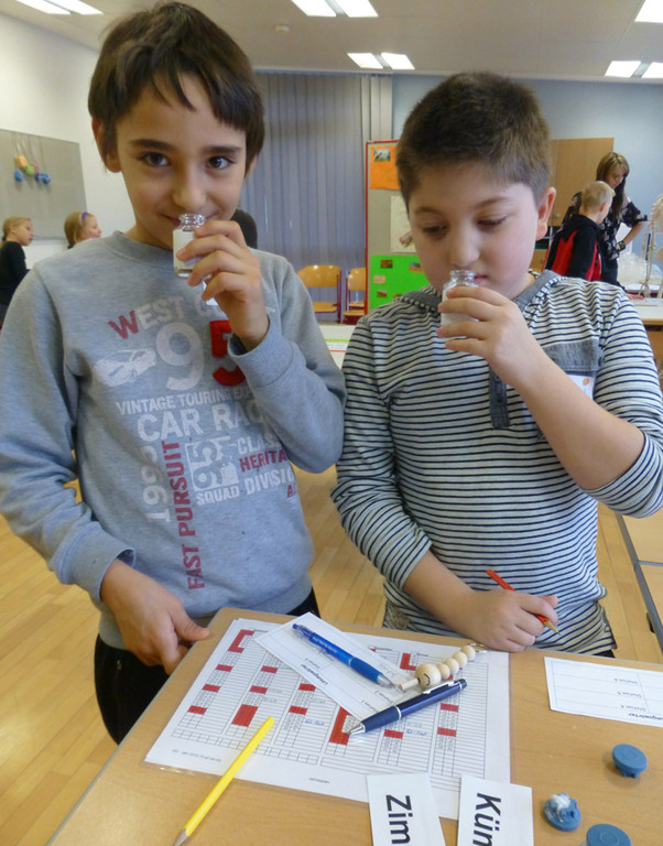 SMS6b_jpg-1357504106