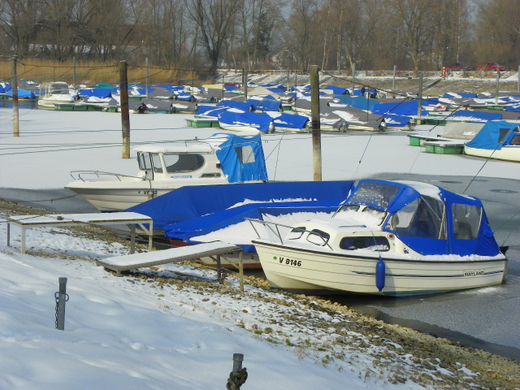 100_2353.jpg
