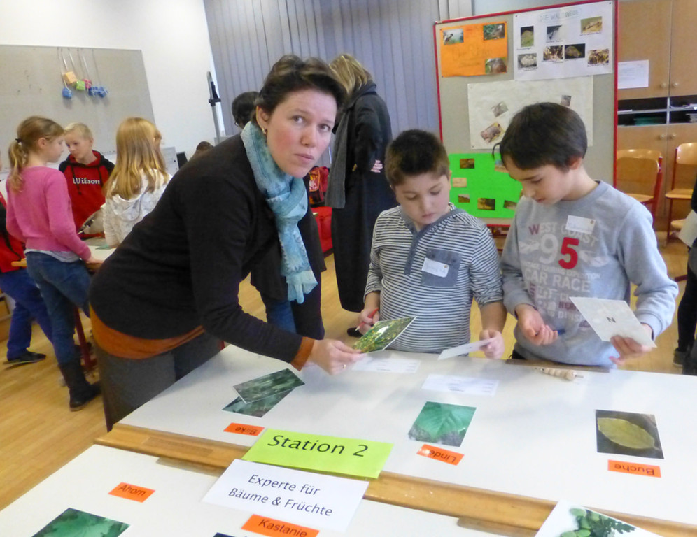 SMS6c_jpg-1357504112