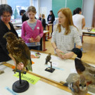 SMS6d_jpg-1357504117