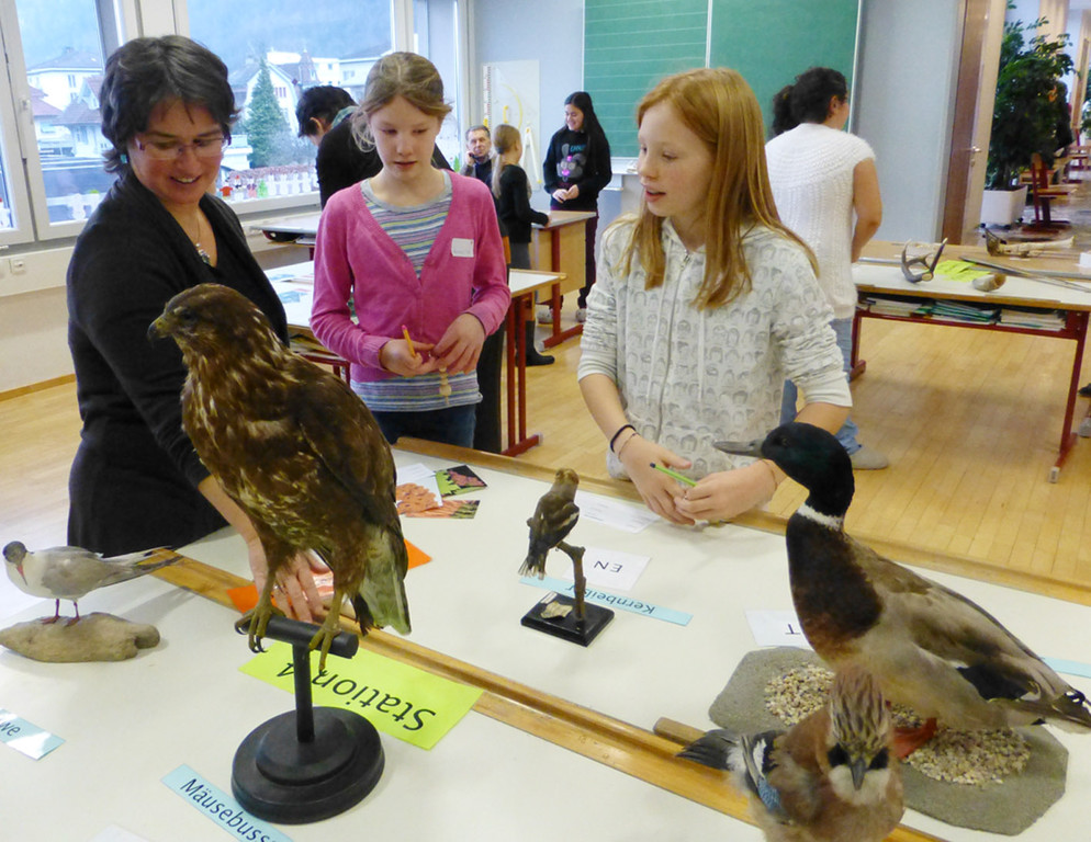 SMS6d_jpg-1357504117