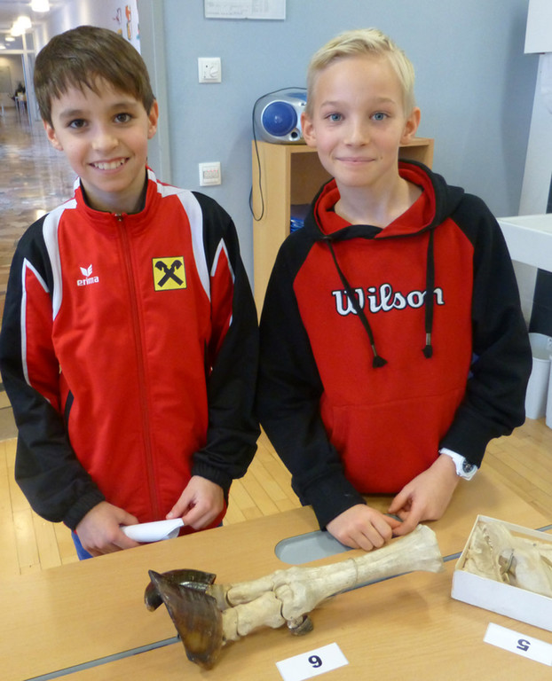 SMS6e_jpg-1357504119